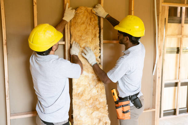 Best Insulation Air Sealing  in Makawao, HI